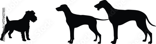Silhouette illustration of three dogs of different breeds standing together, representing friendship, pet care, animal diversity, loyalty, and companionship