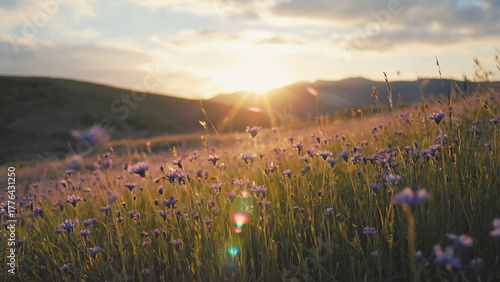Fototapeta Naklejka Na Ścianę i Meble -  Photorealistic summer meadow with wildflowers and tall grass at sunset in golden light with hills and soft warm atmosphere