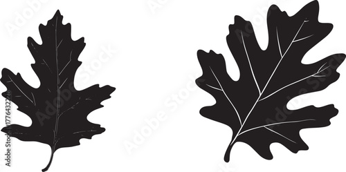 Six maple leaves in black and white, with varying orientations and sizes.
