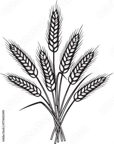 A black and white illustration of a wheat stalk with several ears of wheat.