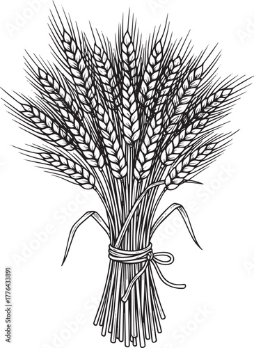 A black and white illustration of a bundle of wheat stalks tied with a rope.