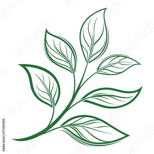 black and green leaves