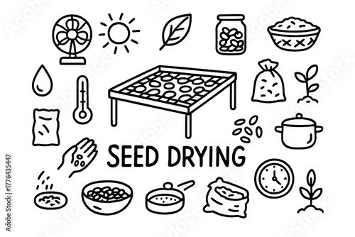 Seed Drying Doodles. Seed Drying. Hand-drawn doodle illustration of Seed Drying. In the middle, one slightly
