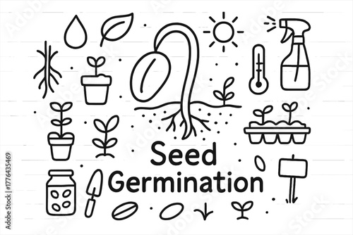 Seed Germination Doodle. Seed Germination. Hand-drawn doodle illustration of Seed Germination. In the middle,