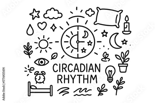 Circadian Rhythm Doodle. Circadian Rhythm. Hand-drawn doodle illustration of Circadian Rhythm. In the middle,