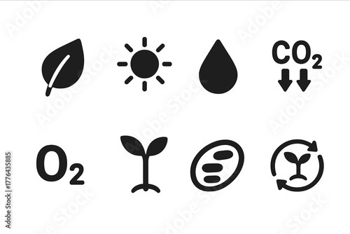 Photosynthesis Icon Set. Photosynthesis. Filled icon set of Photosynthesis: leaf, sun, water droplet, CO2
