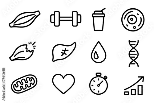 Muscle Growth Icons. How muscles grow and repair. Line outline icon set of how muscles grow and repair: muscle
