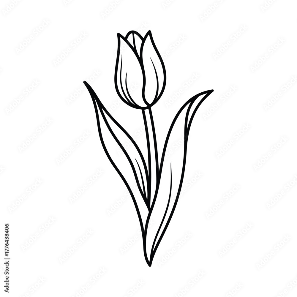 Obraz premium Elegant black and white line drawing of a single tulip flower