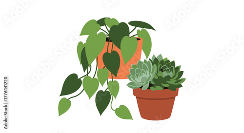 Two potted houseplants, a vining plant and a succulent, are depicted against a white background.