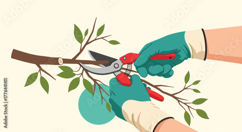 Hands wearing green gloves pruning a tree branch with red pruning shears in full bloom.