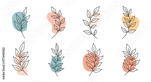 Abstract botanical illustration with muted pastel organic shapes and line art leaves.