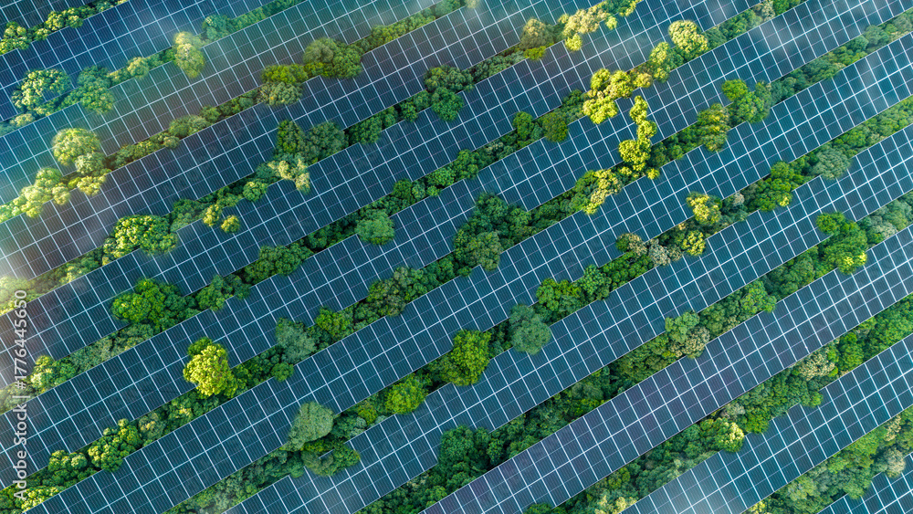 Fototapeta premium Solar panels installed in the green forest, clean alternative energy concept, sustainable energy, environment, solar power, generator