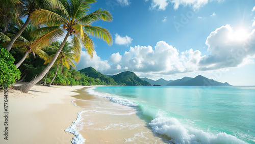 TropicalBeachWithPalmTrees