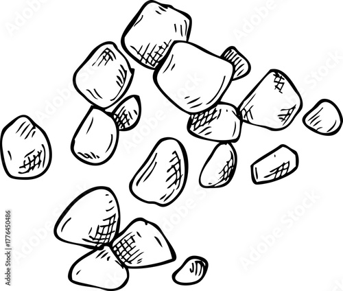 Baobab - exotic plant sketch.  Exotic fruit hand drawn vector illustration. African tree drawing. NOT AI generated