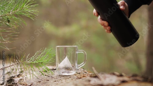 Close-up slow-motion of pouring hot water from a black thermos into a glass mug with a herbal teabag. Steam rises amid a pine forest background, evoking calm, nature, and relaxation.