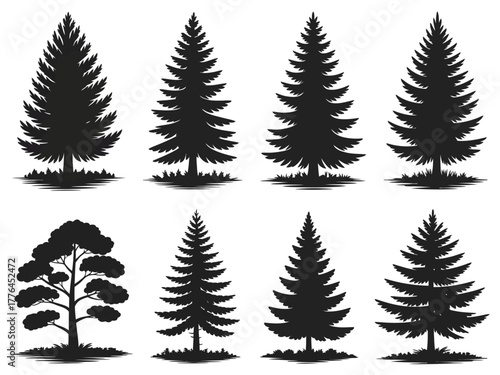 Black Evergreen Tree Silhouette Set,  fir and pine forest elements isolated on white, perfect for woodland, outdoor, and winter nature design use.