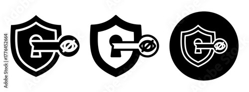Private Key Icon Collection Glyph & Mixed Style