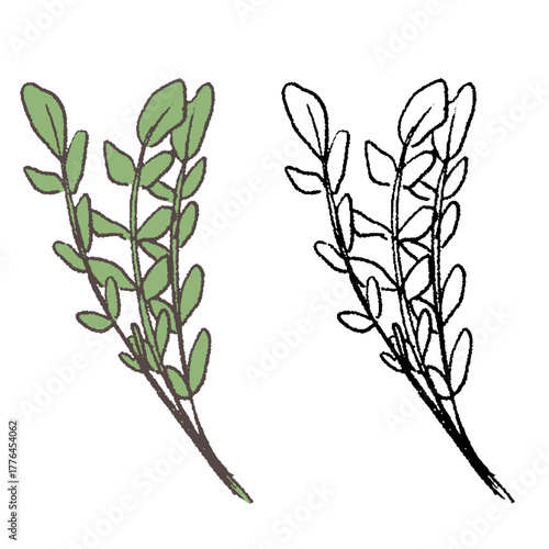 手描きのほとけのざ