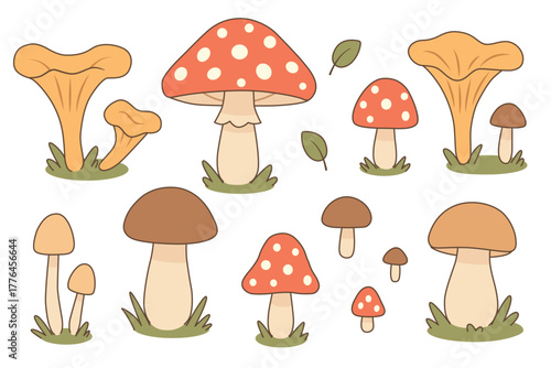 Cute cartoon mushroom set with chanterelles, fly agarics, boletes. Perfect for kids design, autumn decor, packaging, stickers, educational materials. Flat vector illustration on white background