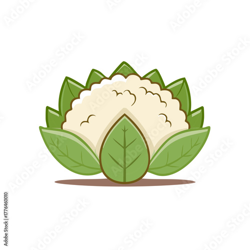 Stylized Cauliflower Vegetable Illustration with Green Leaves and Shadow