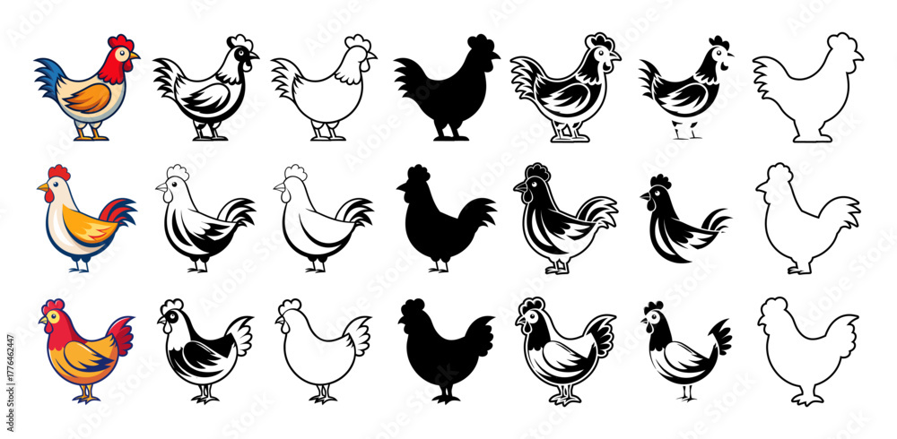 Fototapeta premium Set of Rooster Chicken Vector Graphics Poultry Farm Bird Animal Agriculture Mascot Cartoon