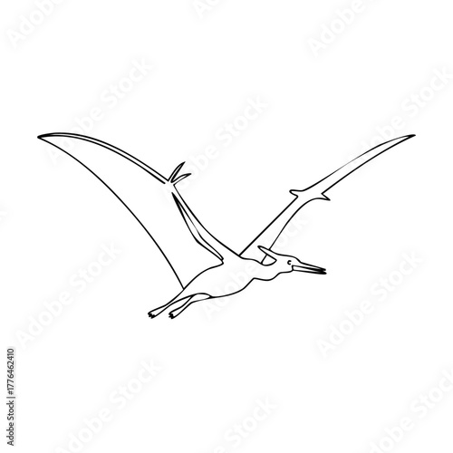 Flying Pterodactyl dinosaur black and white line art vector illustration