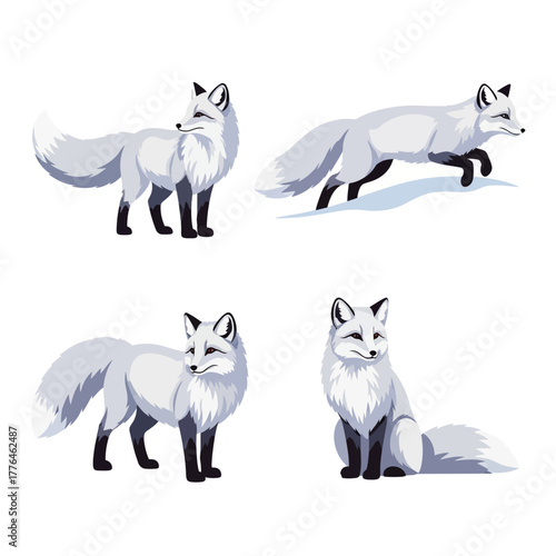 Beautiful arctic fox illustrations showcasing majestic wildlife in various poses, perfect for nature projects and conservation awareness, originally a vector graphic