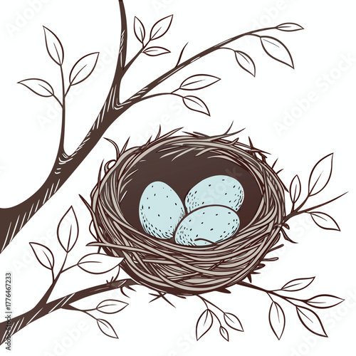 Bird's nest with three blue eggs on a branch, nature illustration