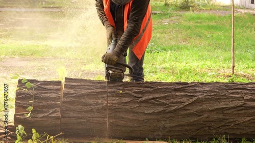 A worker in an orange vest cuts a massive tree trunk into sections using a chainsaw outdoors. Wood dust flies around during the process. Logging and woodcutting concept, 4K video.