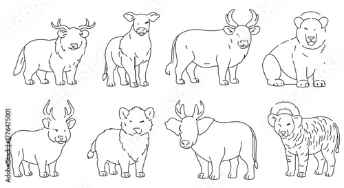 Collection of various cattle breeds in black and white illustration