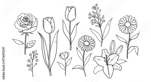 Hand drawn flowers, including roses, tulips, lilies, and daisies in black and white