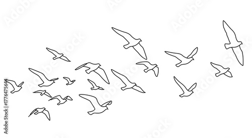 A flock of birds flying in the sky, a simple black and white line drawing