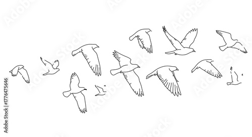 A flock of birds in flight, depicted in a simple line drawing
