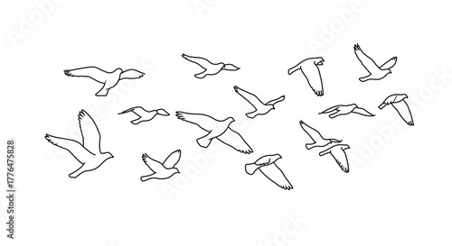 Flock of birds in flight, a graceful display of avian movement