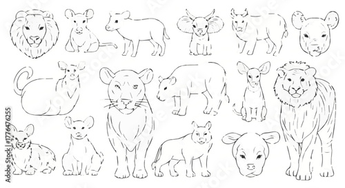Collection of hand drawn animal sketches, including lions, cows, and other creatures