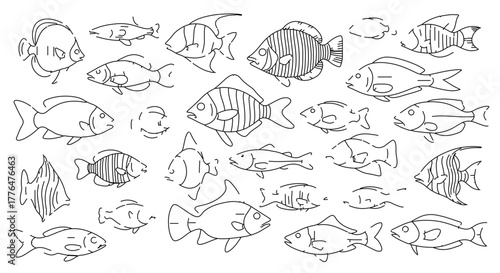 Collection of various fish in a simple outline style