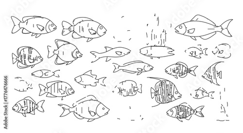 A school of diverse fish swimming together in an aquatic environment