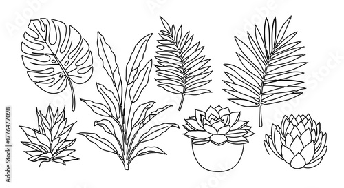 Collection of tropical leaves and succulent plants in line art style