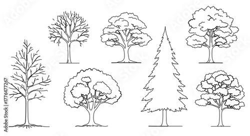Set of seven different hand drawn tree illustrations with various shapes