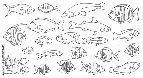 Collection of various fish species in black and white