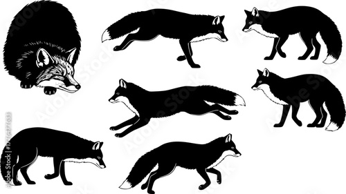 Silhouette set of foxes, forest red fox, forest wildlife predator sleeping, running, jumping, illustration set on a white background