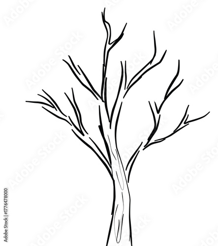 simple tree sketch outline illustration vector eps10.eps