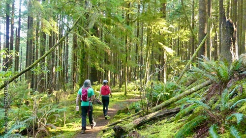 Hiking along the Oregon coast around Cape Perpetua