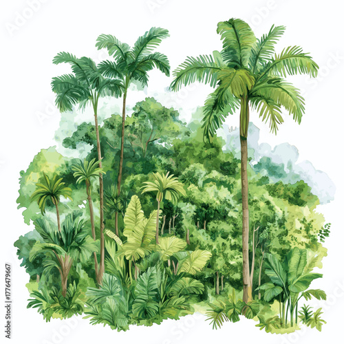 Amazon rainforest. Amazon rainforest hand drawn watercolor illustration
