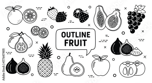 Fruit outline vector set fresh organic fruits healthy food illustration editable vector