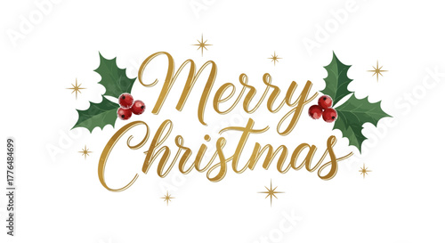 Elegant Merry Christmas wishes with festive holly and gold accents, perfect for modern holiday cards, banners, and seasonal promotions to spread joy