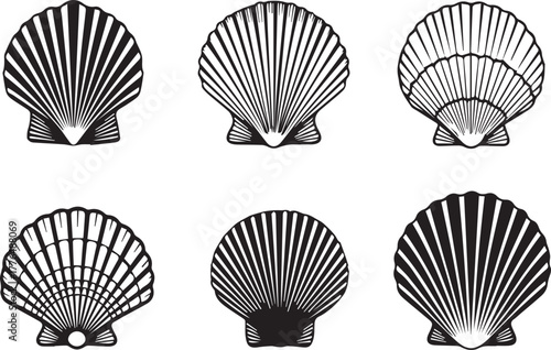 Six Black and White Scallop Shell Silhouettes seashell