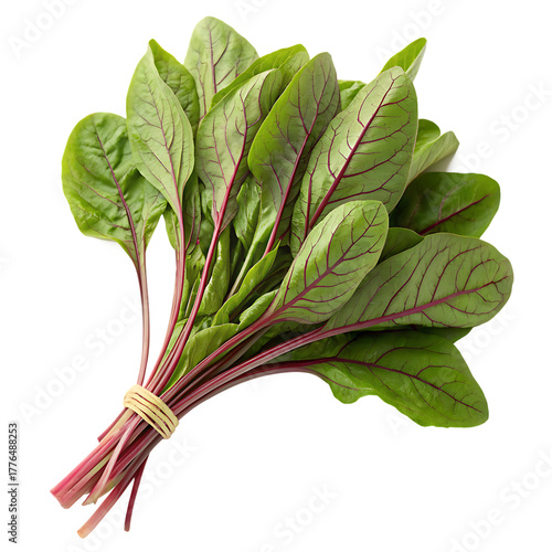 Red and green plant isolated on a transparent background
