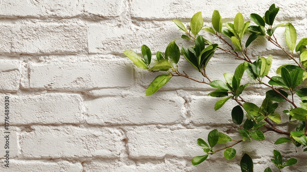 Obraz premium Creamy Brick Background. White Brick Wall with Green Plant and Frame for Art Design
