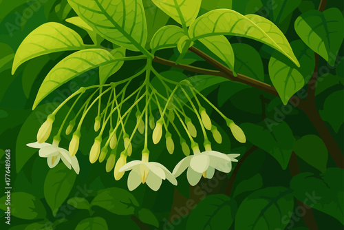 A close-up view of delicate white flowers hanging gracefully from thin green stems amid lush foliage. The small blossoms and buds are surrounded by vibrant green leaves, illuminated by soft natural li